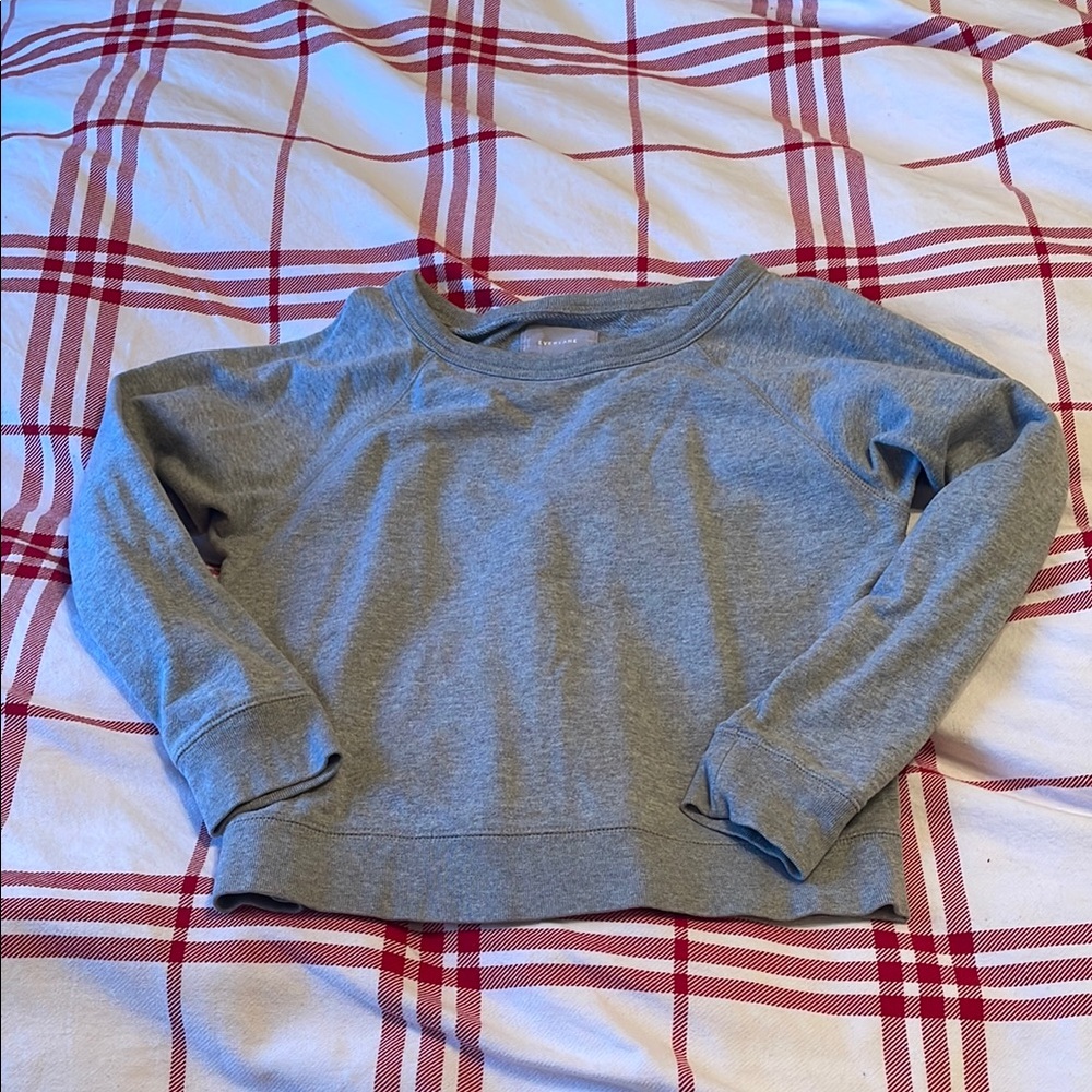 Everlane grey sweatshirt